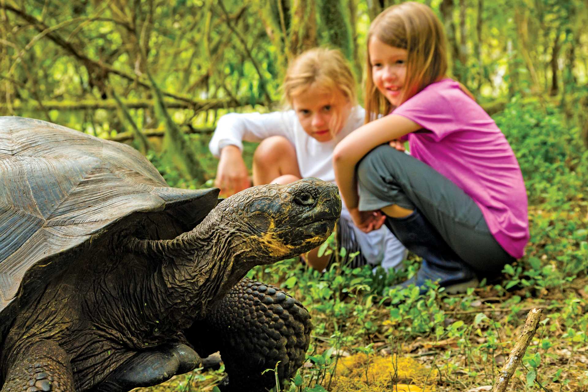 Ecuador Galapagos GL522.jpg