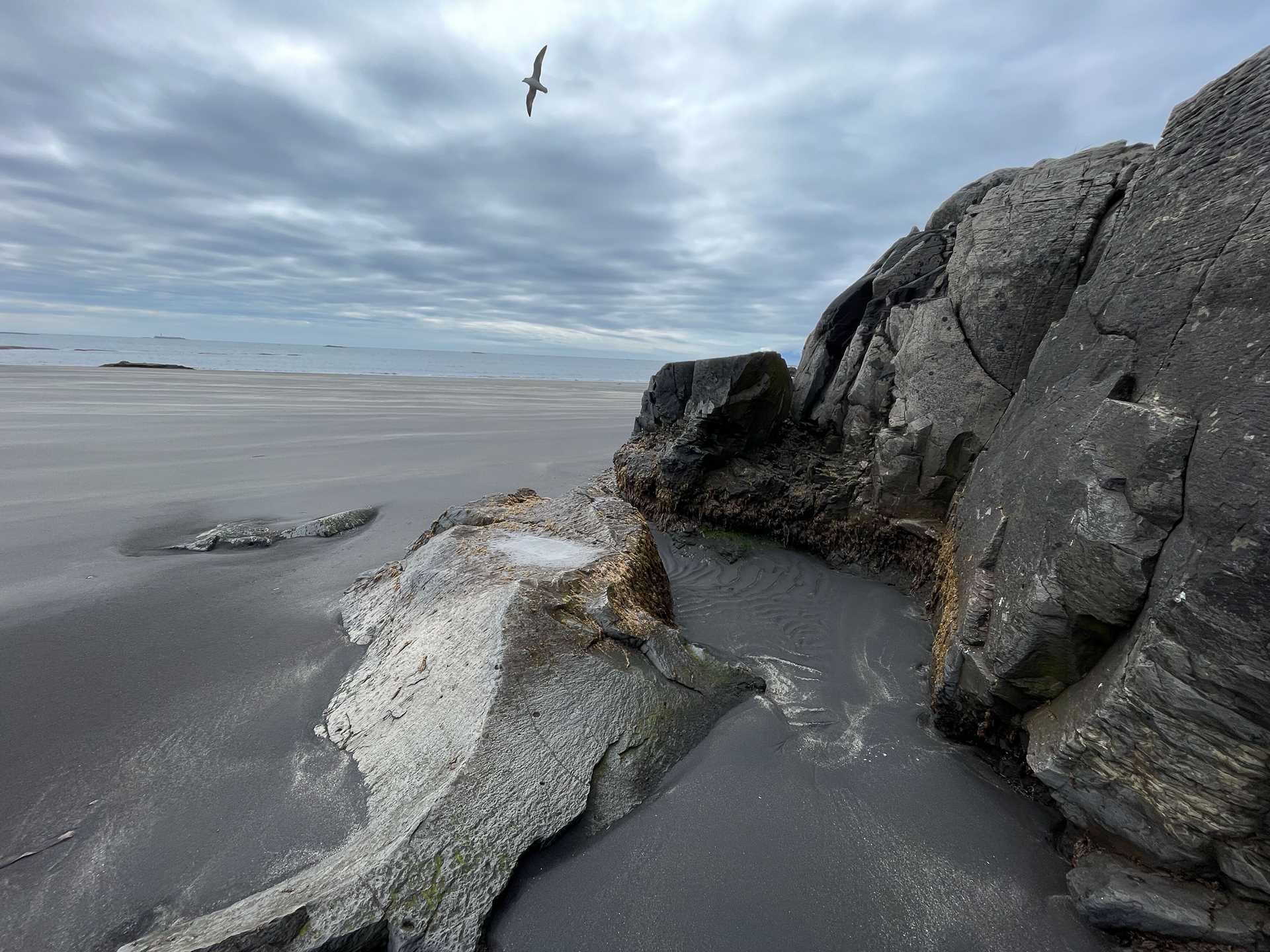 black sand beach