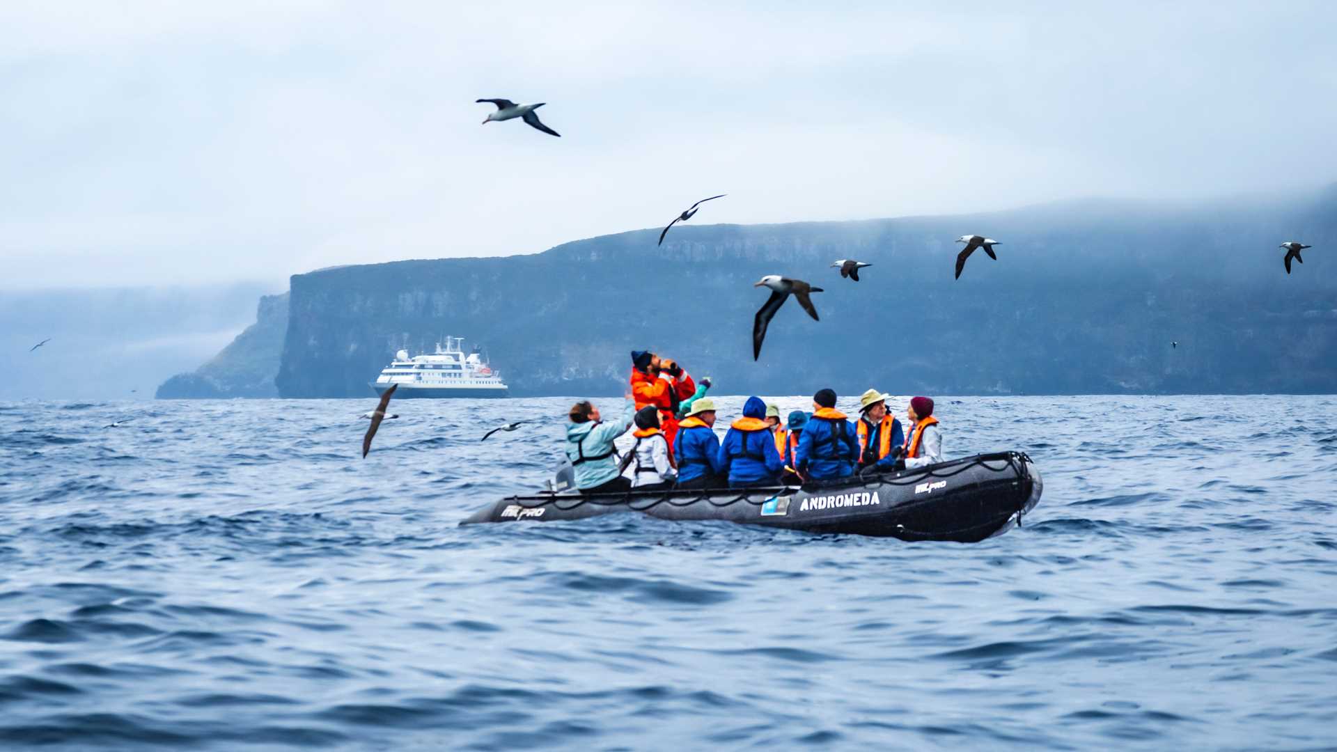 Large RGB-Lindblad Expeditions-New Zealand Campbell Island NZ23_16480.jpg