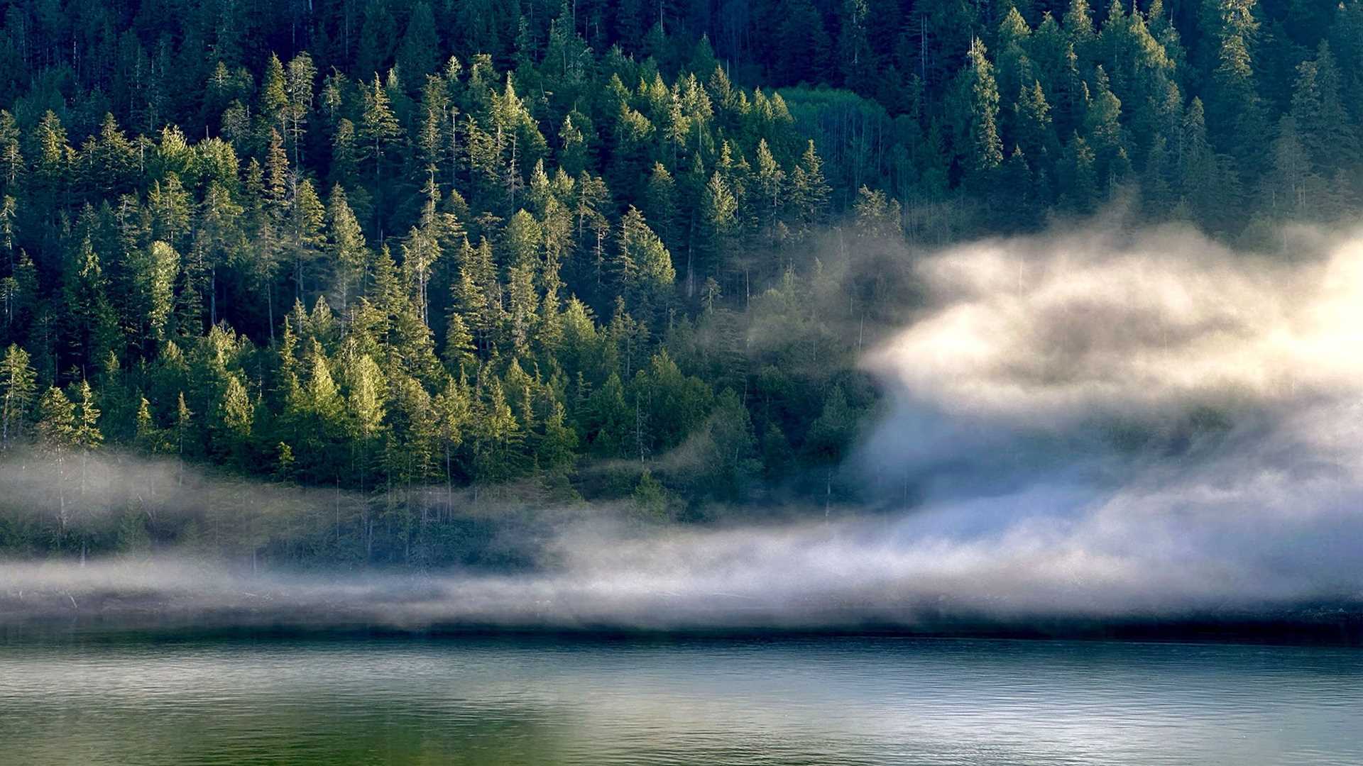 mountains shrouded in mist