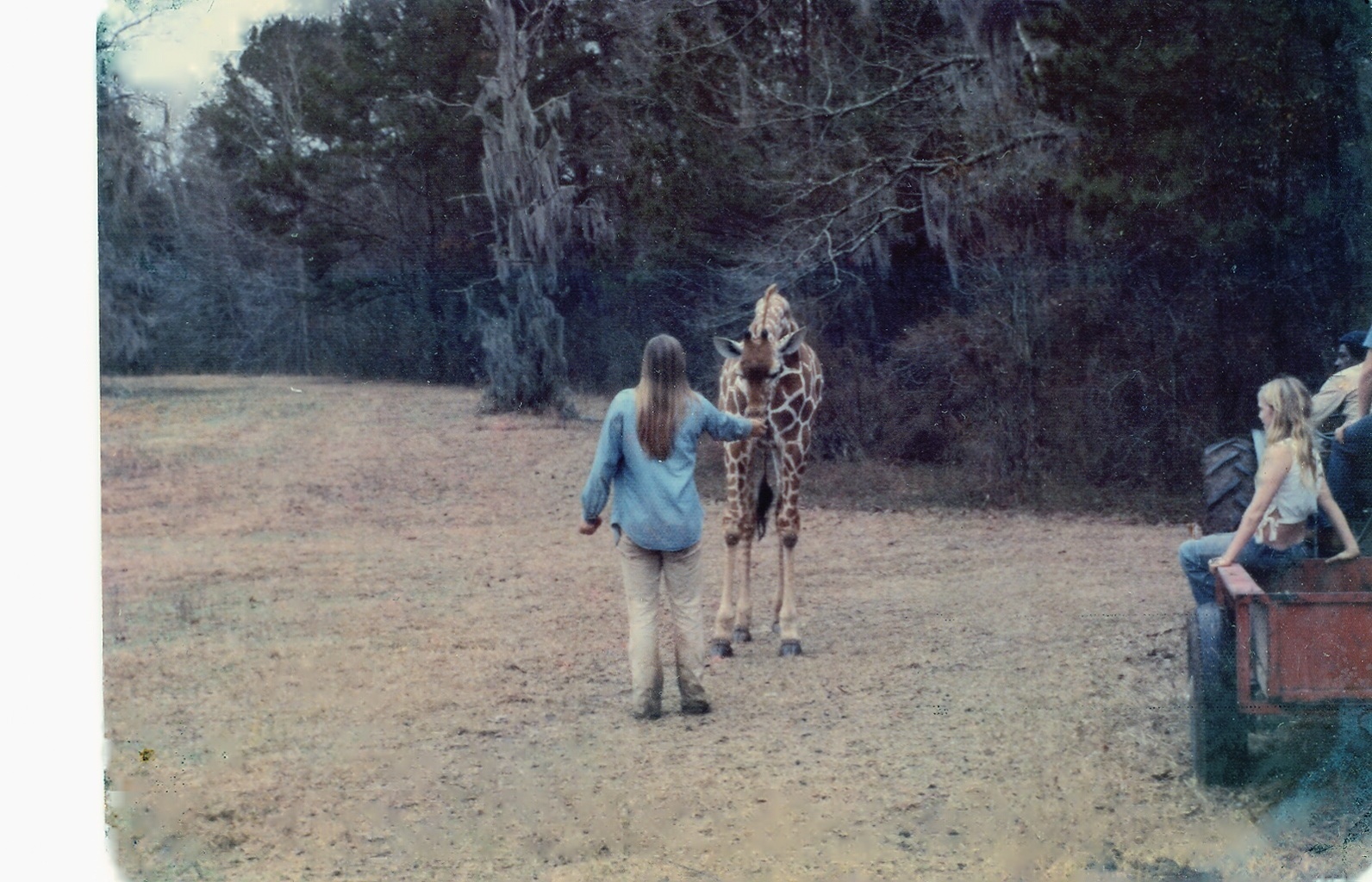 with U Jim's reticulated giraffe Reggie.JPG