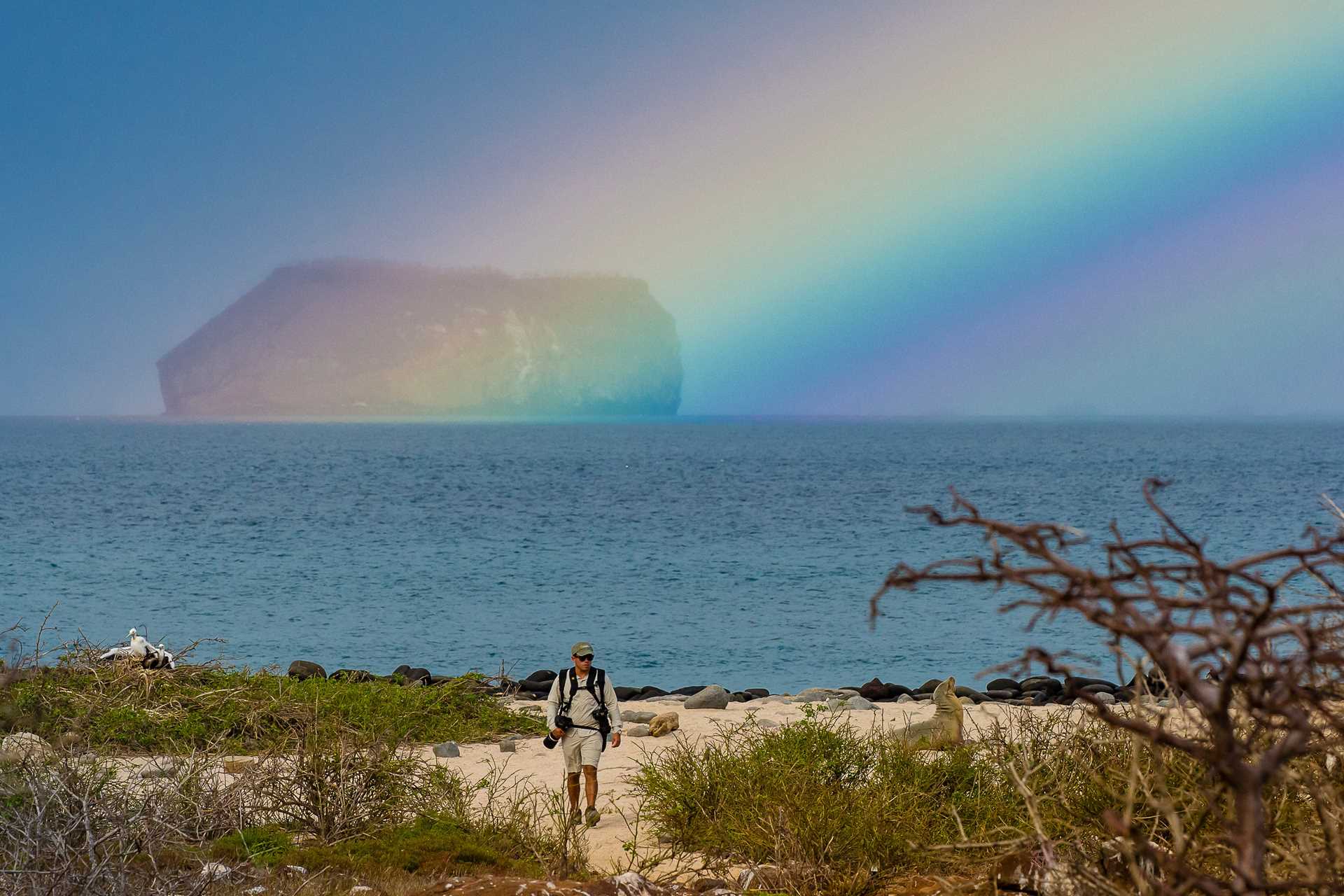 A naturalist walks on a trail on North Seymour Island with a rainbow and large rock formation in the distance over the water.