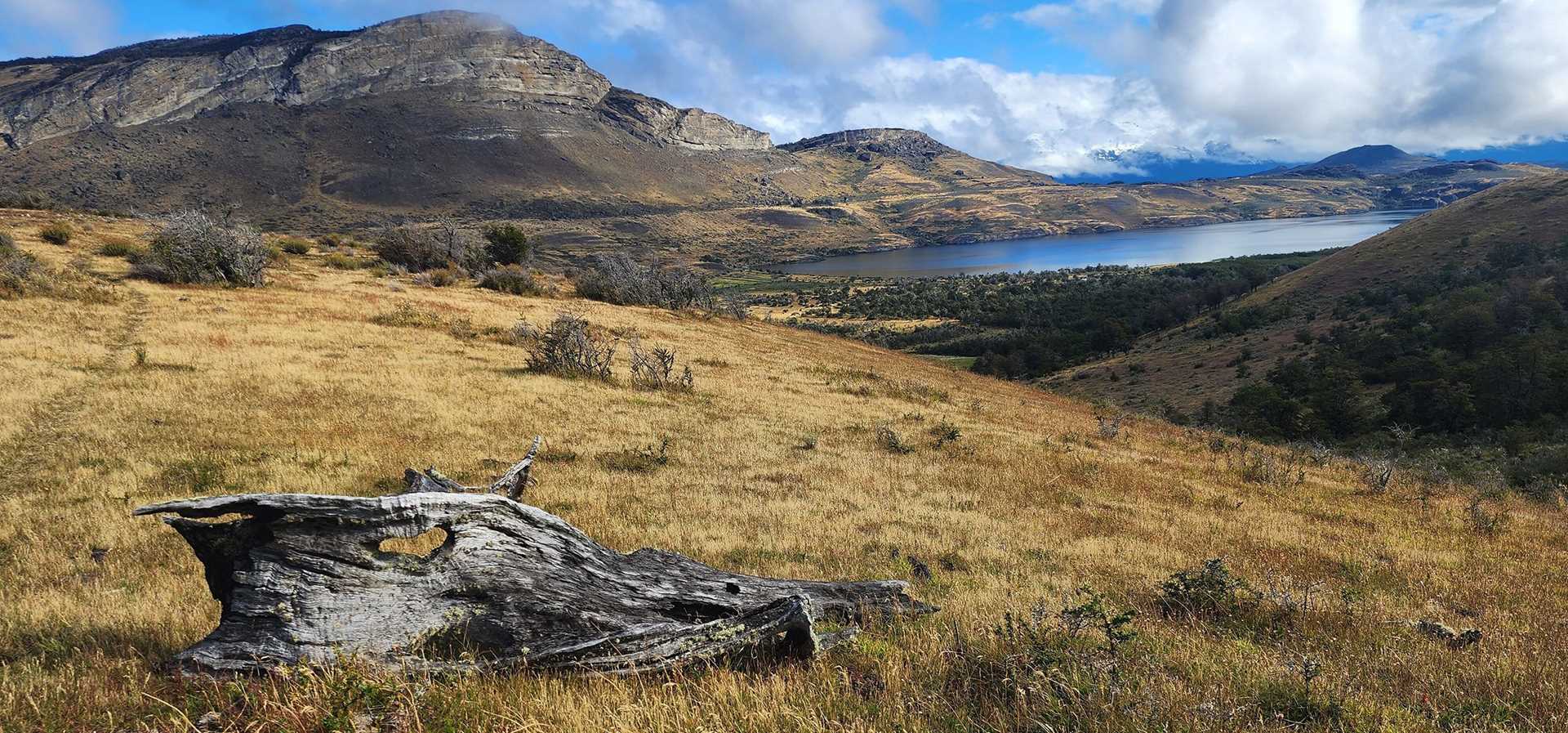 a view of a lake and mountains from the top of a hill