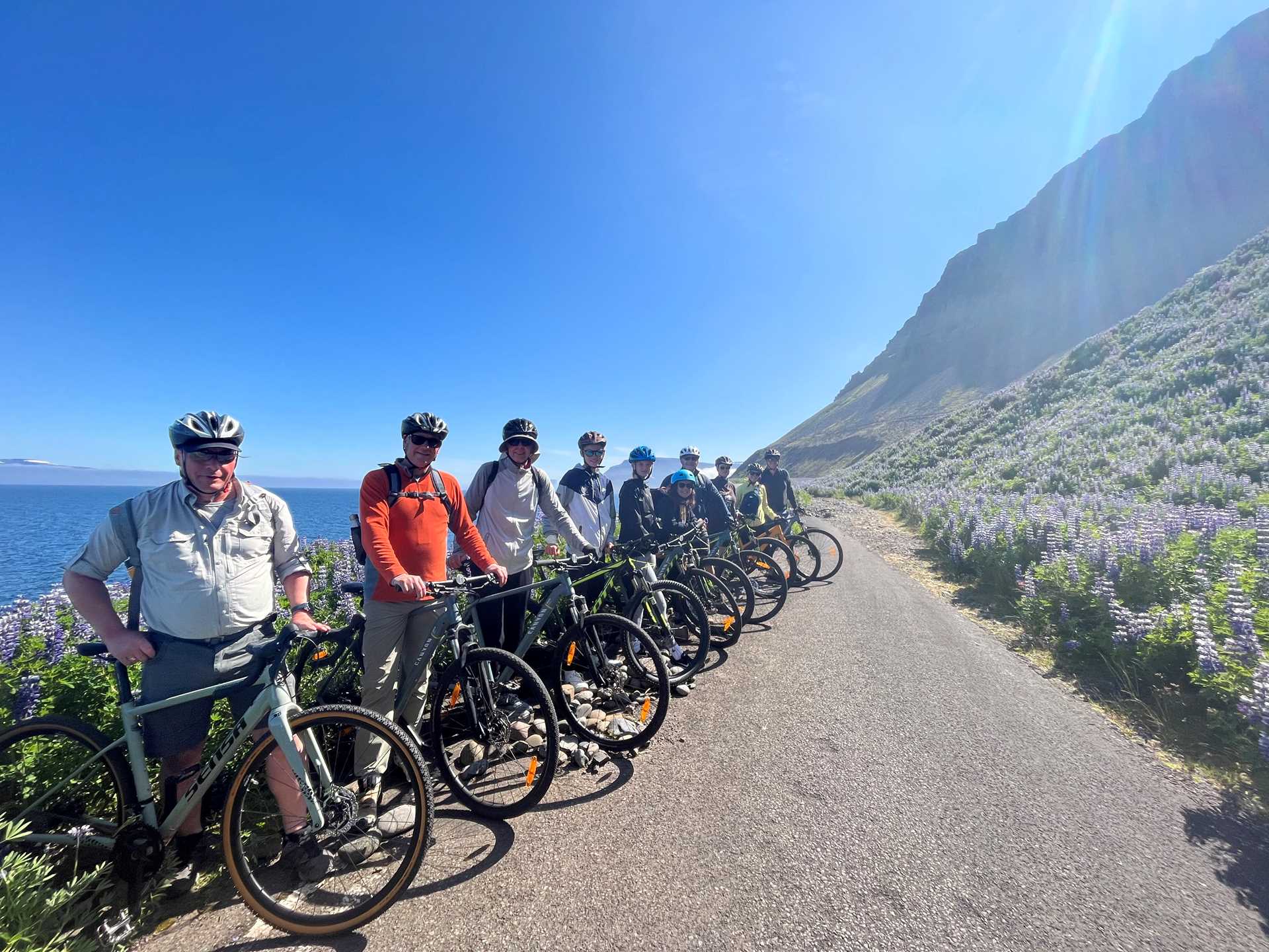 cyclists posing on a hillside