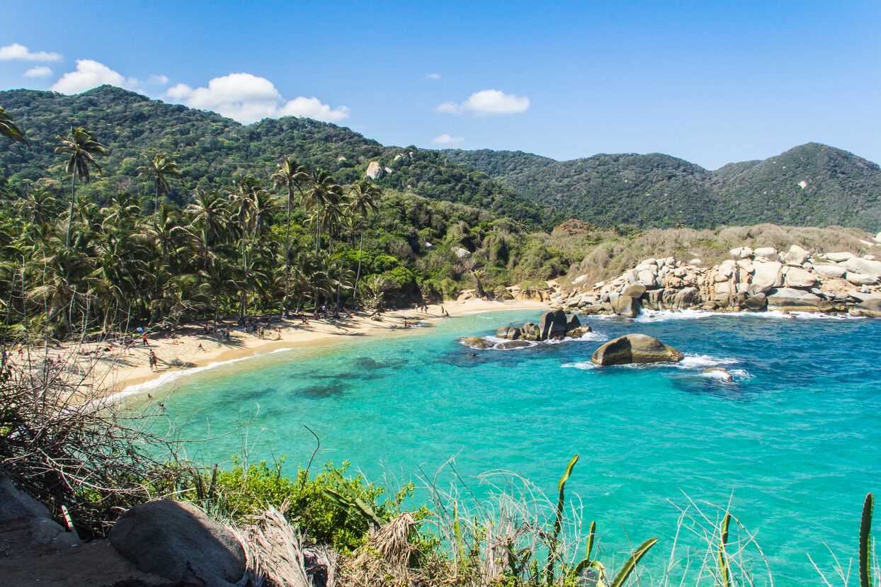 seashore with bright blue water