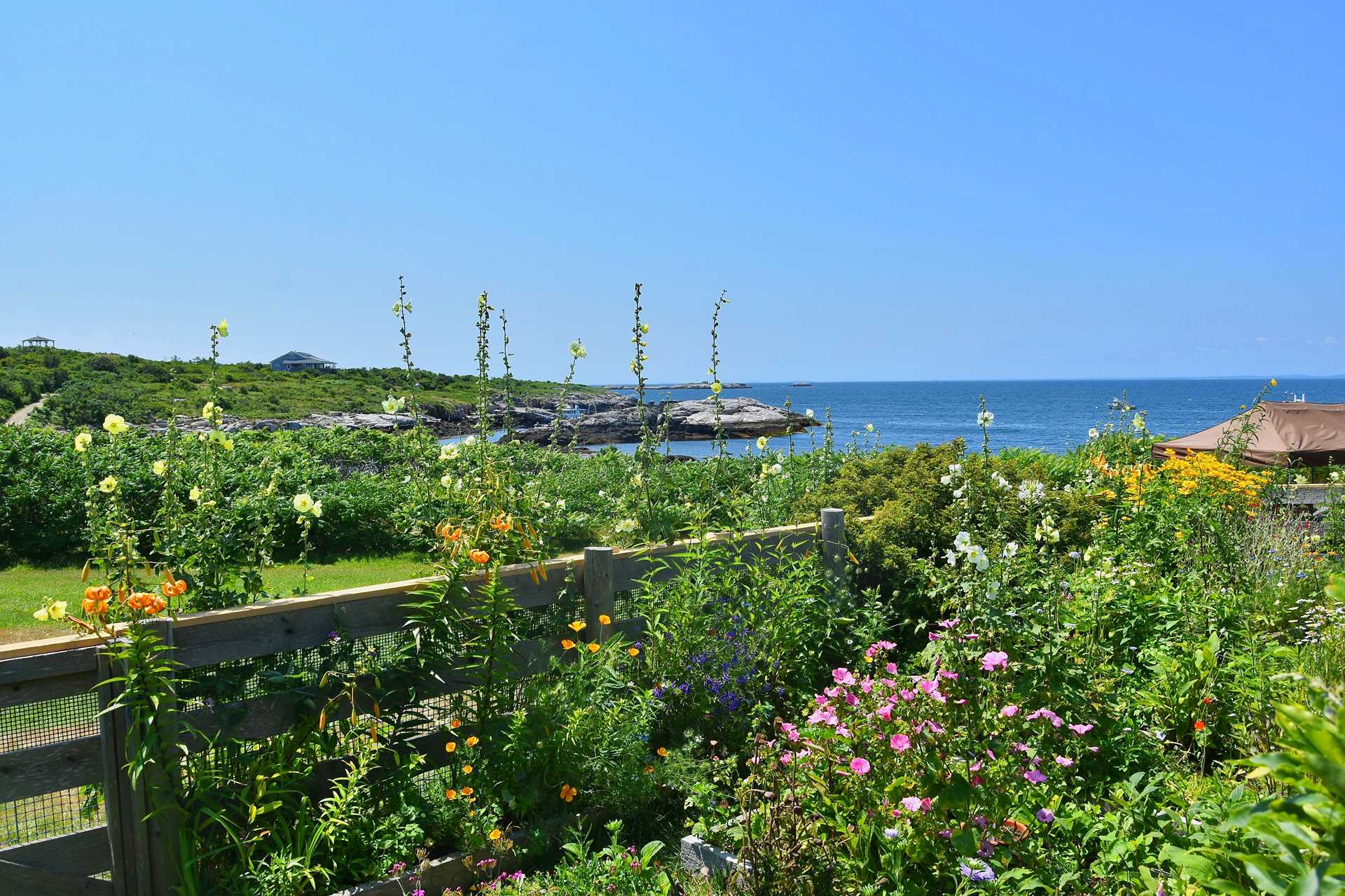 Isles of Shoals-Alamy W72RGF.jpg