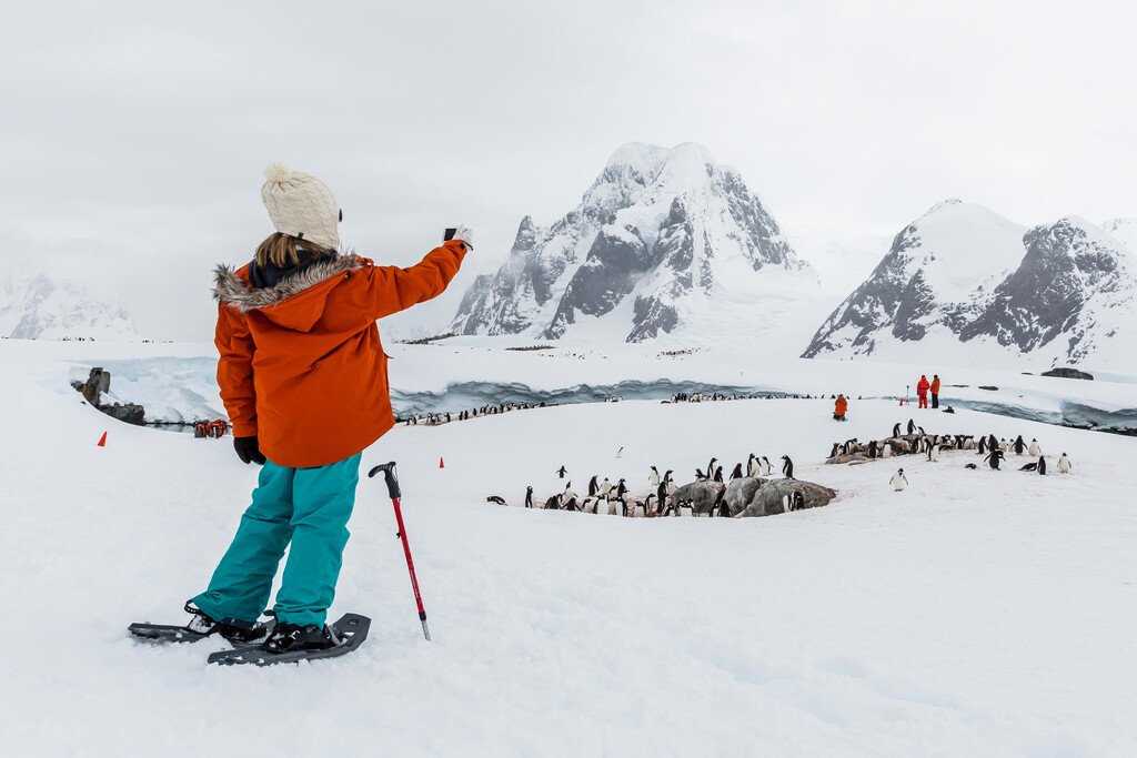 Medium RGB-Lindblad Expeditions-Antarctica Booth Island 1116-462.jpg