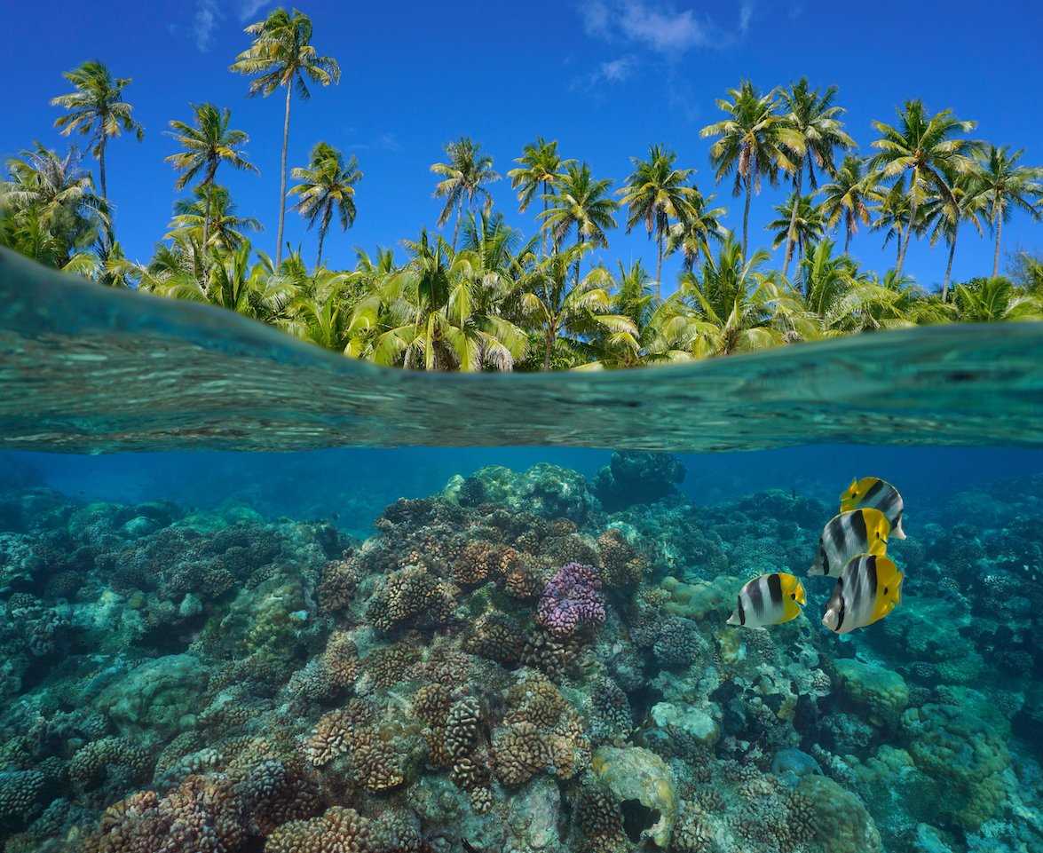 Above and below Polynesia.jpg