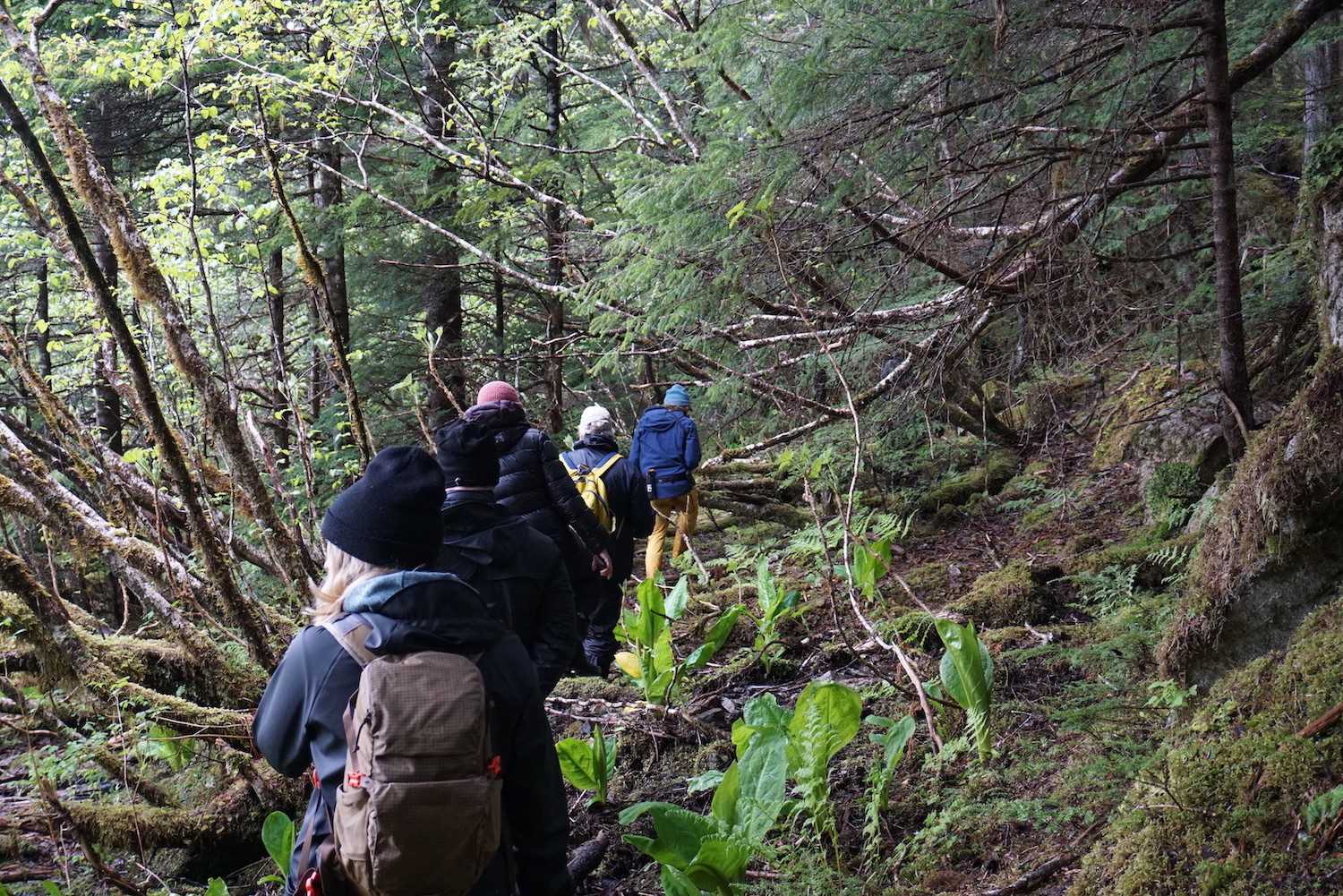 Alaska hikers.jpeg